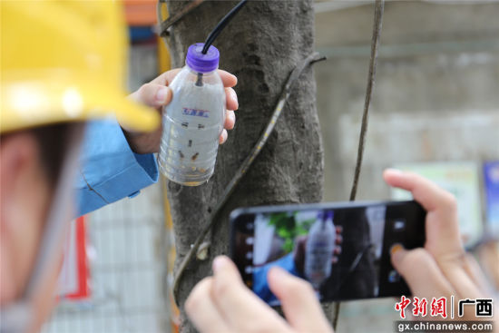 住戶(hù)為防止雨天插座漏電而套上的塑料瓶中積水明顯，存在漏電隱患。謝耘 攝