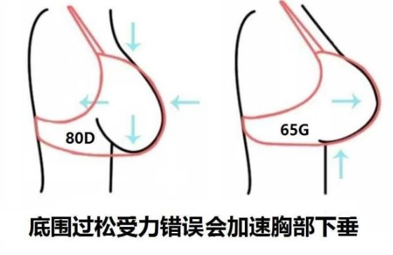 內(nèi)衣設(shè)計(jì)研發(fā)